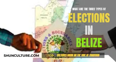 Belize's Electoral Trifecta: Understanding the Three Distinct Voting Processes