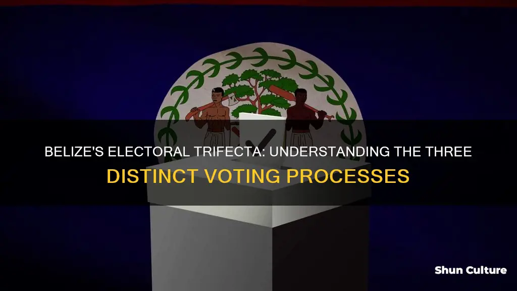 what are the three types of elections in belize