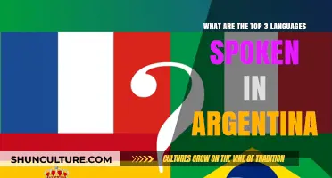 Exploring Argentina's Linguistic Landscape: Top Spoken Languages Revealed
