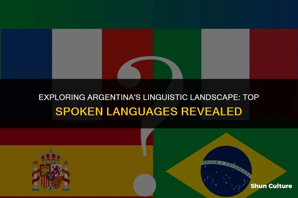 what are the top 3 languages spoken in argentina