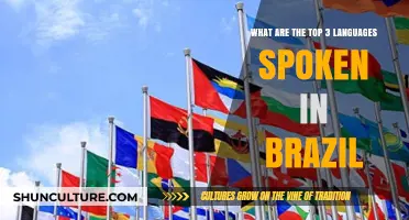 Discover Brazil's Linguistic Diversity: Top 3 Spoken Languages Revealed