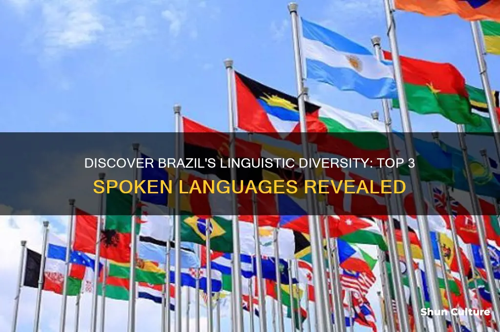 what are the top 3 languages spoken in brazil