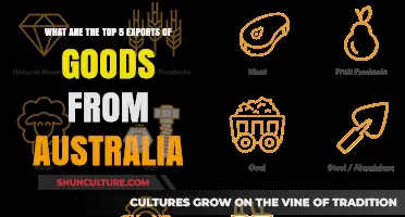 Australia's Top Exports: The Big Five