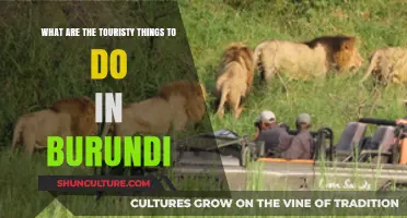 Discover Burundi: Top Tourist Attractions and Hidden Gems