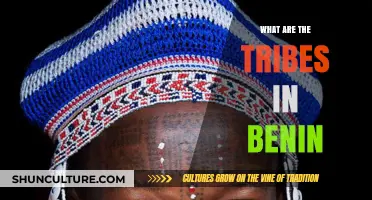 Exploring the Rich Cultural Tapestry: Tribes of Benin Unveiled