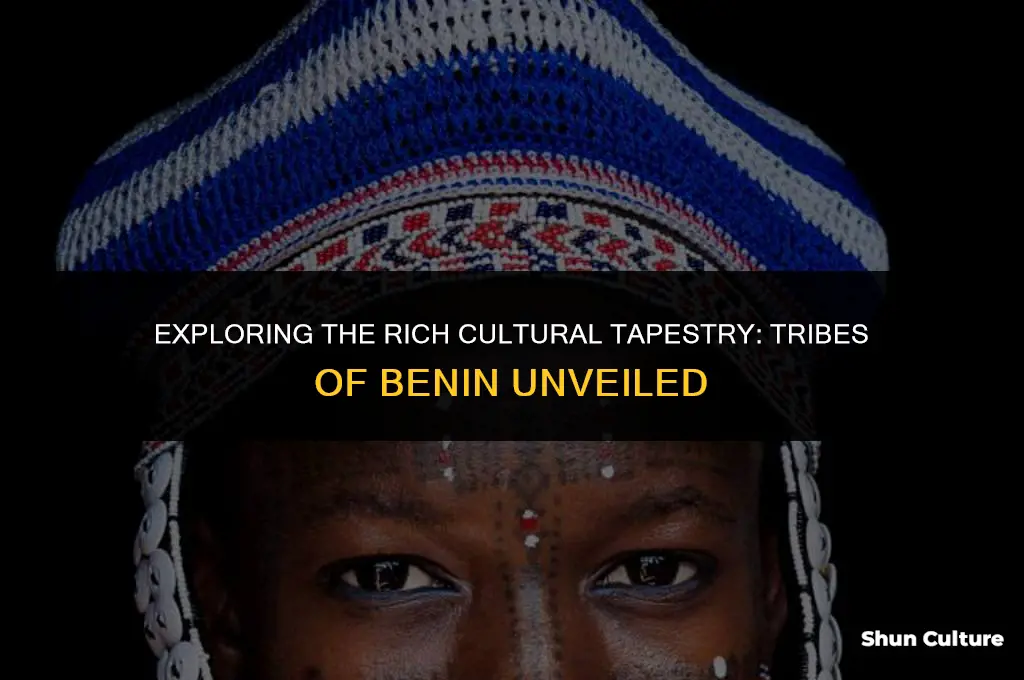 what are the tribes in benin