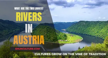 Exploring Austria's Two Largest Rivers and Their Significance