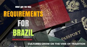 Brazil Visa Requirements: Essential Guide for Travelers and Tourists