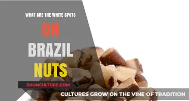 Unveiling the Mystery: White Spots on Brazil Nuts Explained