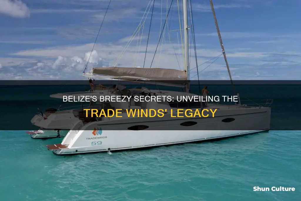 what are the winds over belize called