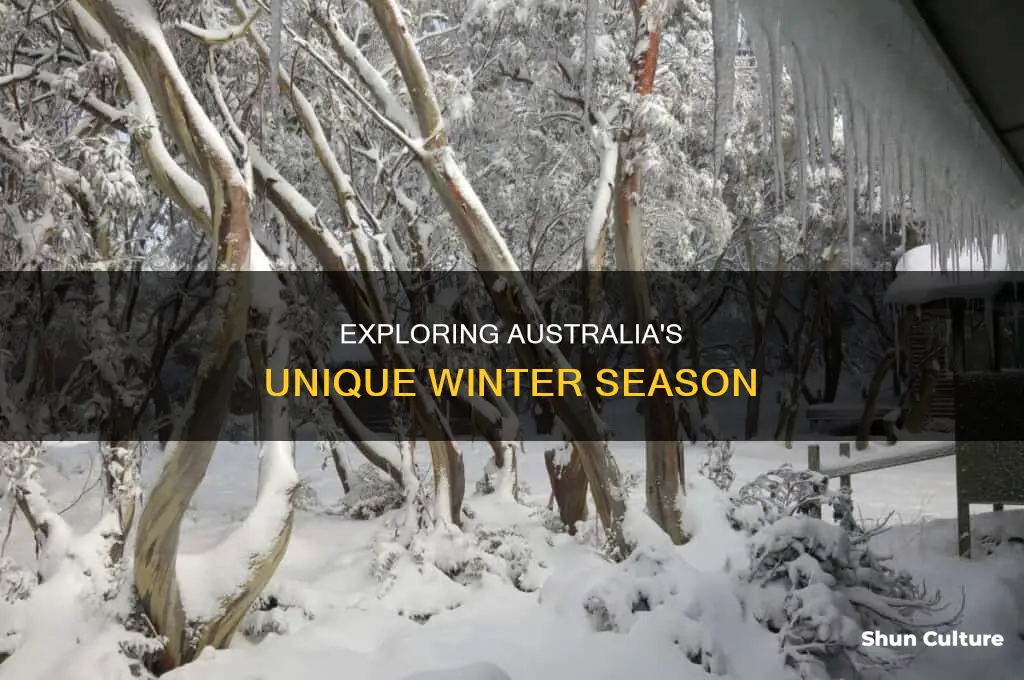what are the winter months like in australia