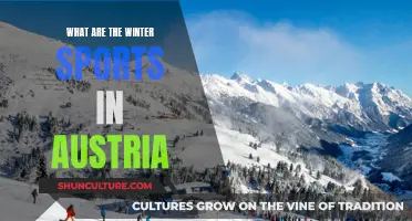 Winter Sports in Austria: Discover the Top Activities