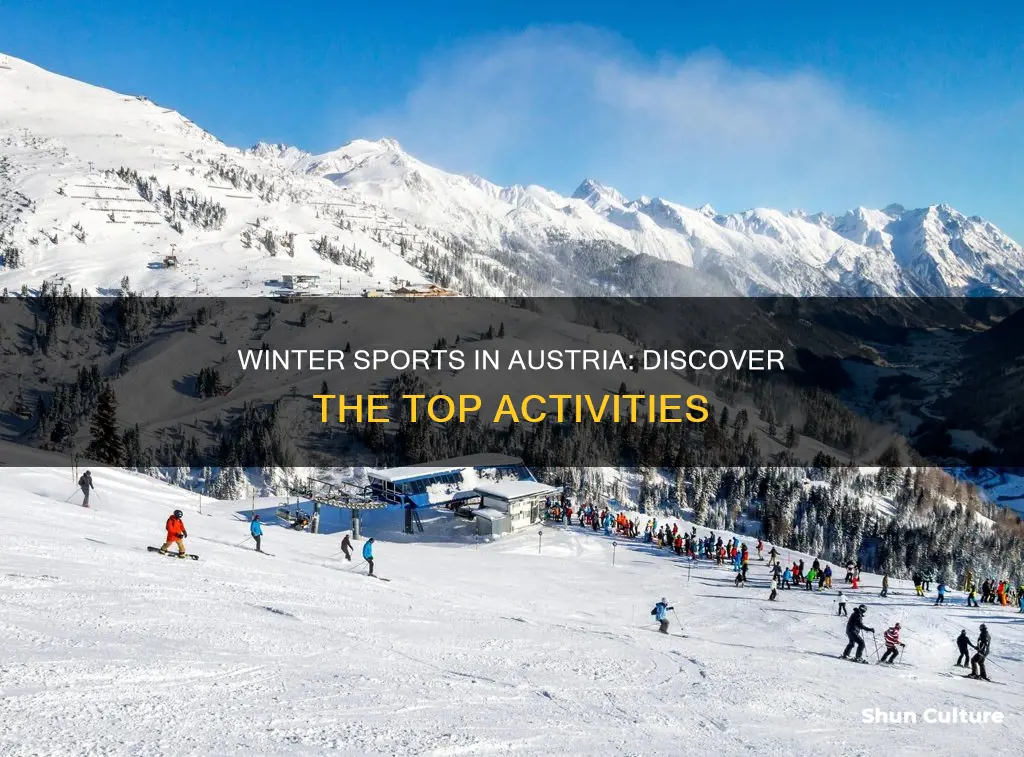 what are the winter sports in austria