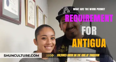 Antigua Work Permit Requirements: Essential Guidelines for Foreign Workers