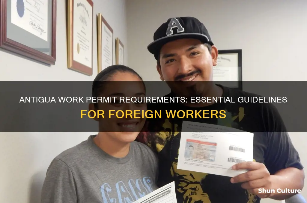 what are the work permit requirements for antigua