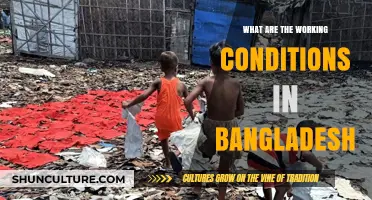 Exploring Bangladesh's Labor Environment: Challenges and Realities of Working Conditions