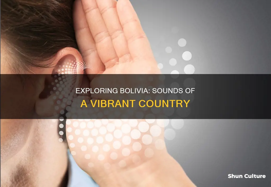 what are things to hear in bolivia