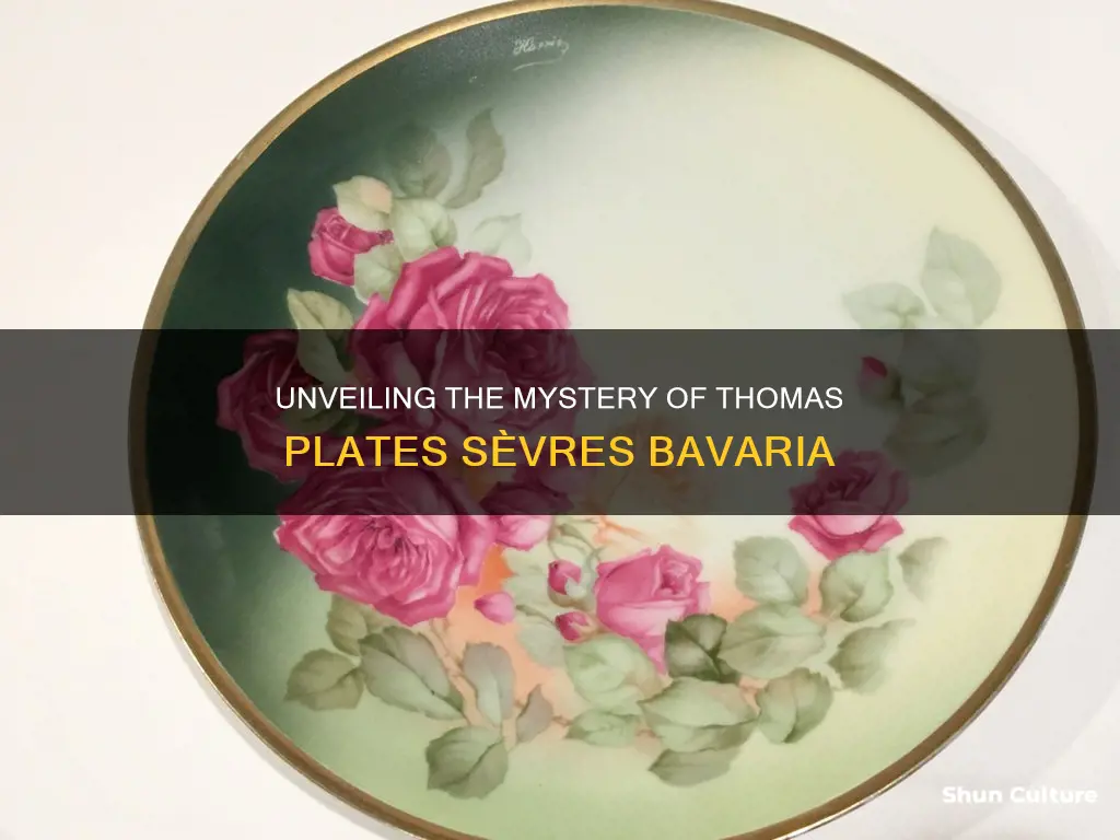 what are thomas plates sevres bavaria