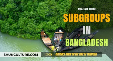 Exploring Bangladesh's Diverse Subgroups: Culture, Identity, and Traditions Unveiled