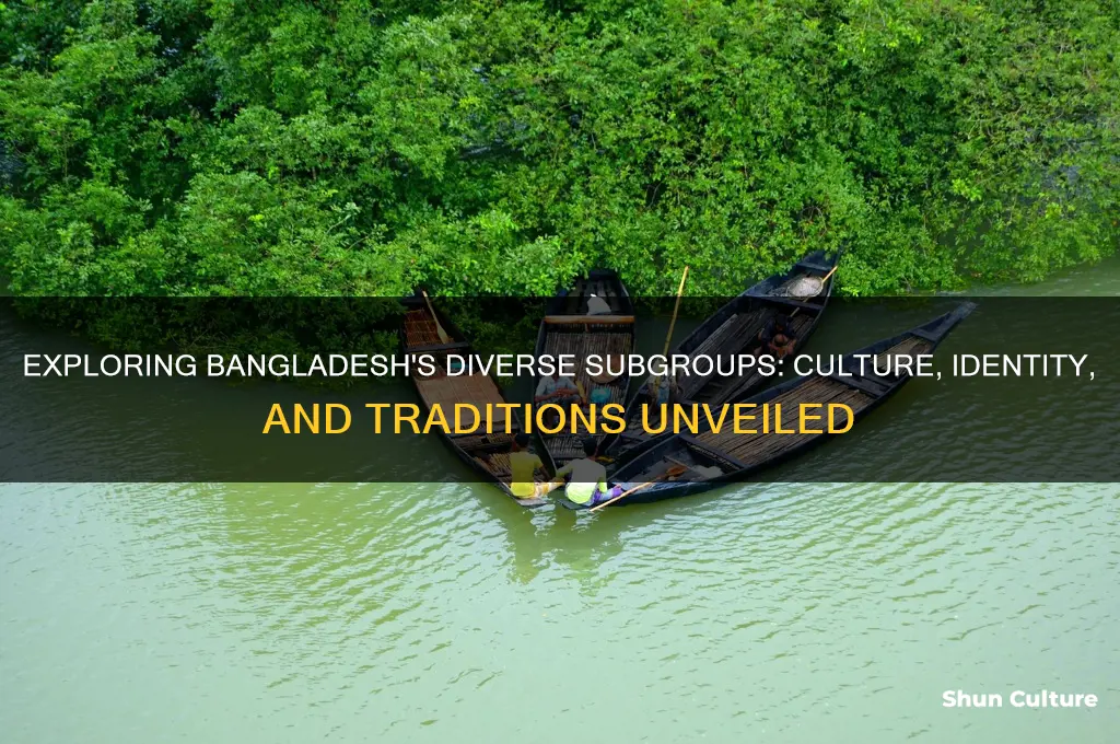 what are those subgroups in bangladesh