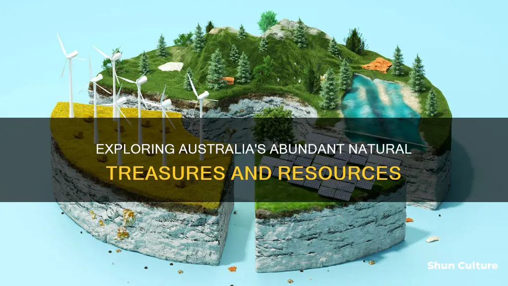 what are three abundant resources found in australia