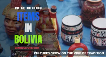 Exploring Unique Cultural Treasures in Bolivia