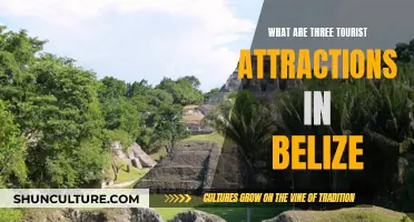 Belize's Tropical Trio: Discovering Natural, Cultural, and Historical Treasures