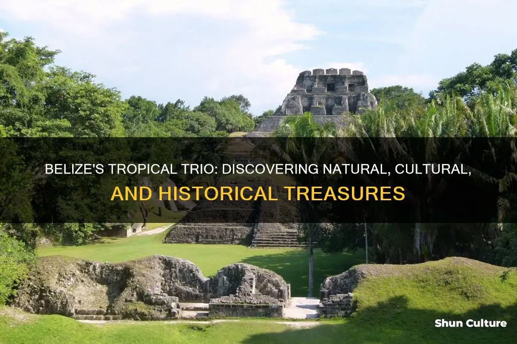 what are three tourist attractions in belize