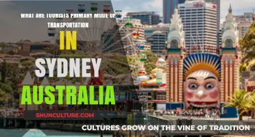 Exploring Sydney: Tourists' Preferred Transportation Methods Revealed