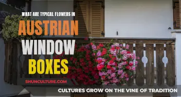 Window Boxes in Austria: Typical Flowers and Plants