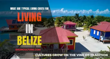 Belize Living Costs: Paradise on a Budget?