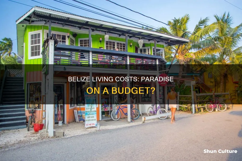 what are typical living costs for living in belize