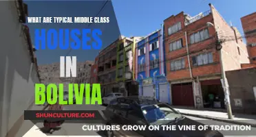 Exploring Bolivia's Middle-Class Housing: A Local Perspective