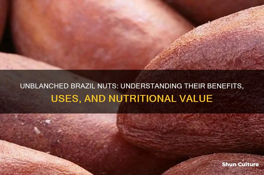what are unblanched brazil nuts