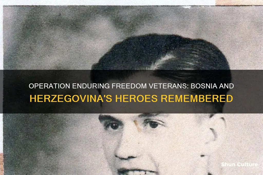 what are veterans from operation enduring freedom bosnia and herzegovina