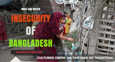 Bangladesh's Water Crisis: Causes, Impacts, and Solutions for Insecurity