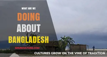 Addressing Bangladesh's Challenges: Global Efforts and Local Solutions for Progress