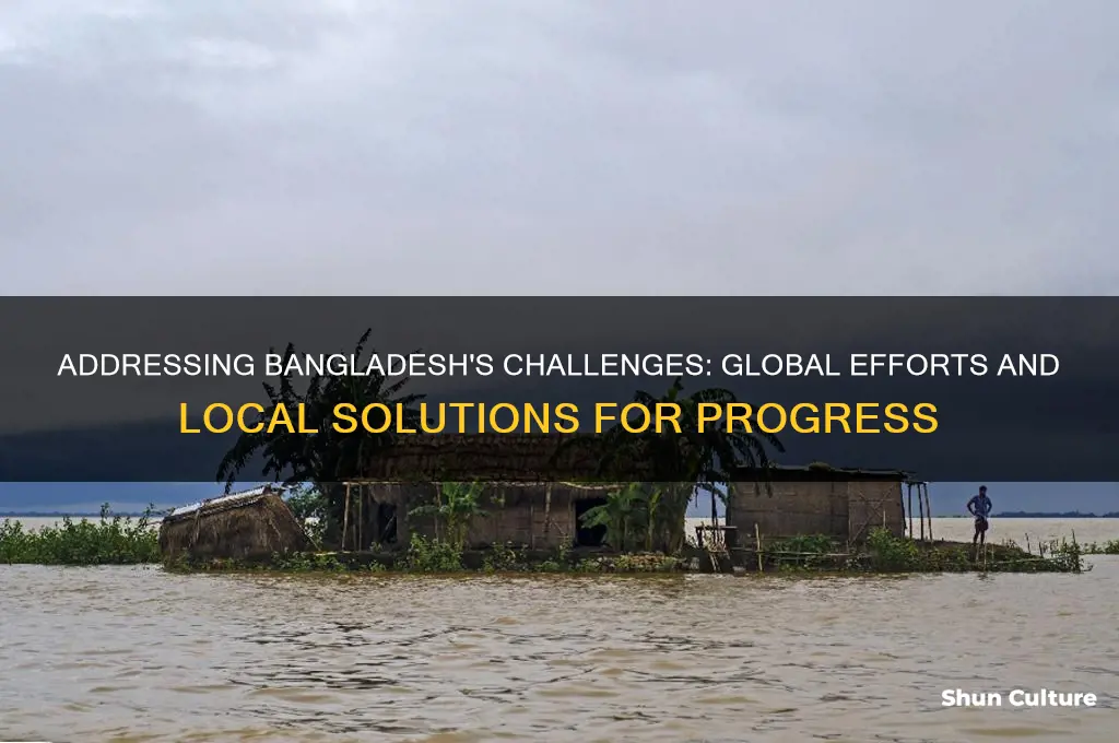 what are we doing about bangladesh