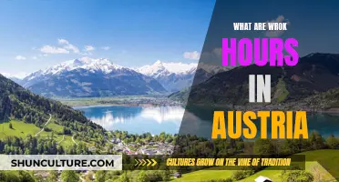 Working Hours in Austria: Understanding the Austrian Work Culture