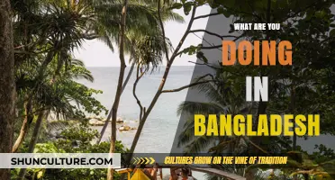 Exploring Bangladesh: Adventures, Culture, and Hidden Gems Unveiled