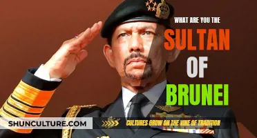 The Extravagant Life of the Sultan of Brunei