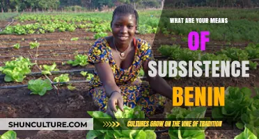 Exploring the Diverse Means of Subsistence in Benin: A Cultural Insight