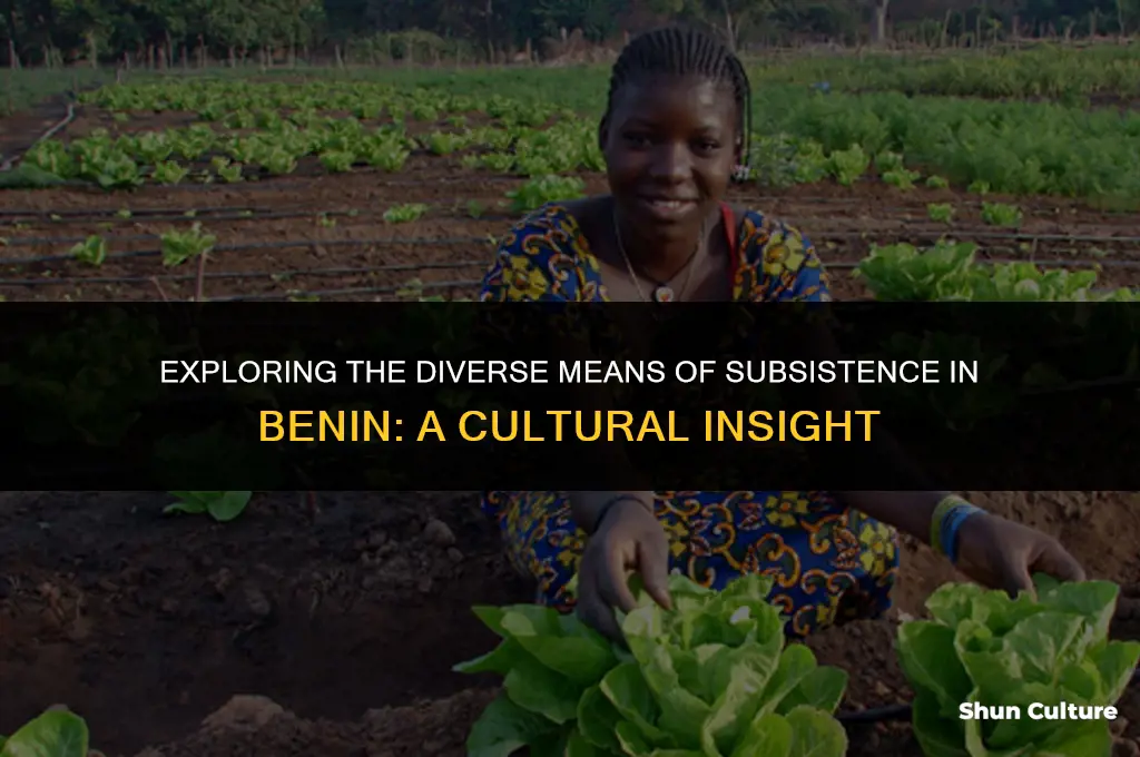 what are your means of subsistence benin