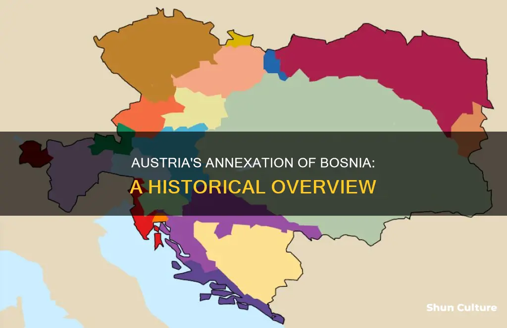 what area did austria annexed in 1908