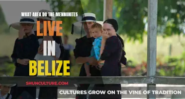 Where in Belize Do the Mennonites Dwell?