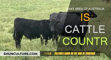 Exploring Australia's Cattle Country: Where's the Beef?