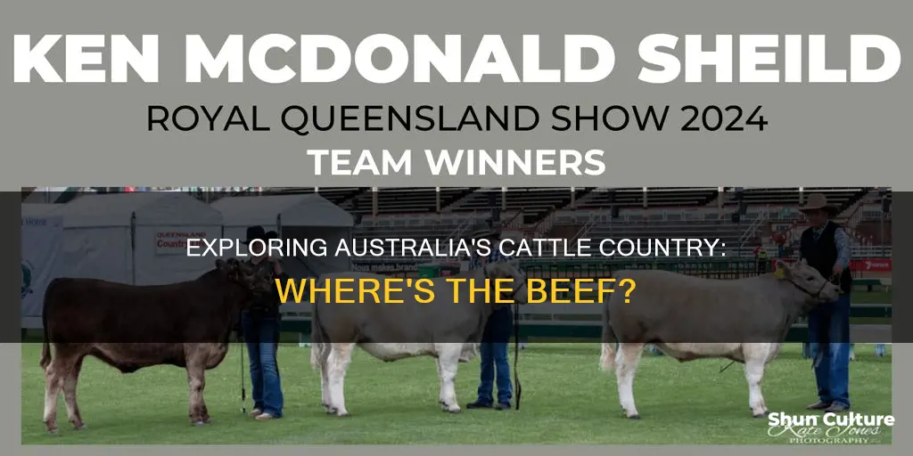 what area of australia is cattle country