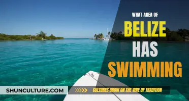 Swimming in Paradise: Exploring Belize's Watery Wonders