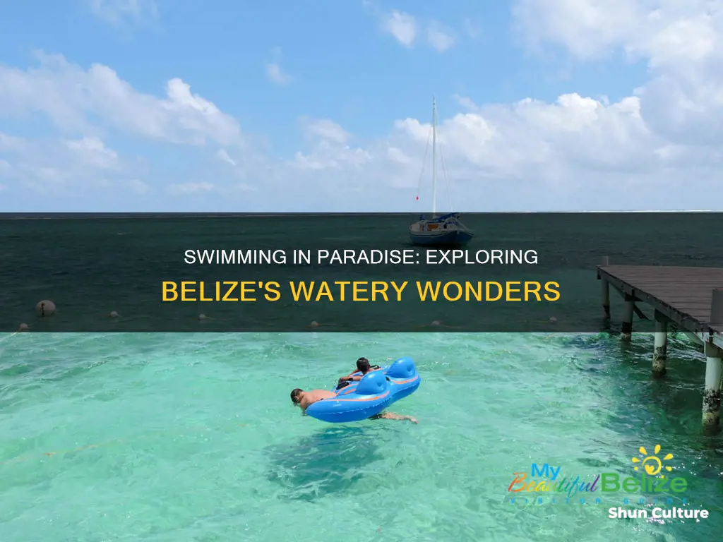 what area of belize has swimming