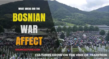 Bosnian War's Impact: Regions, Communities, and Long-Term Consequences Explored